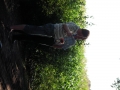 SANY0016.JPG