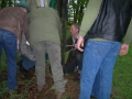 DSCN1245.JPG