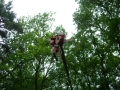 DSCN1252.JPG
