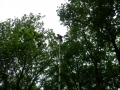 DSCN1253.JPG