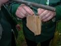 DSCN1278.JPG