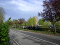PICT0597_1.JPG
