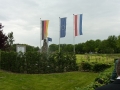 P1090330.jpg