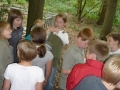 bild_123.JPG
