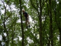 Sommerfest 011.JPG