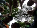 Bild066